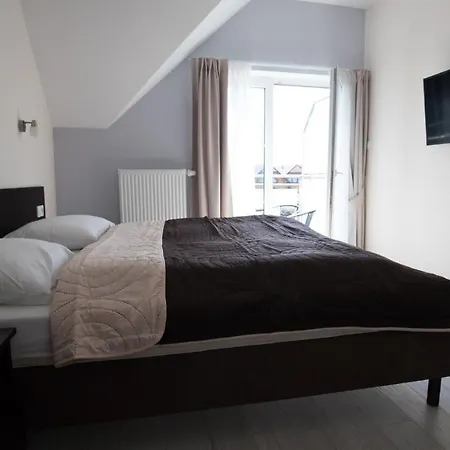 Spoko Slonia W Rewalu