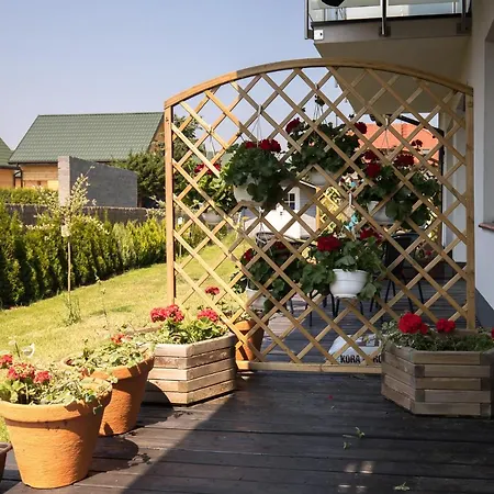 Spoko Slonia W Rewalu