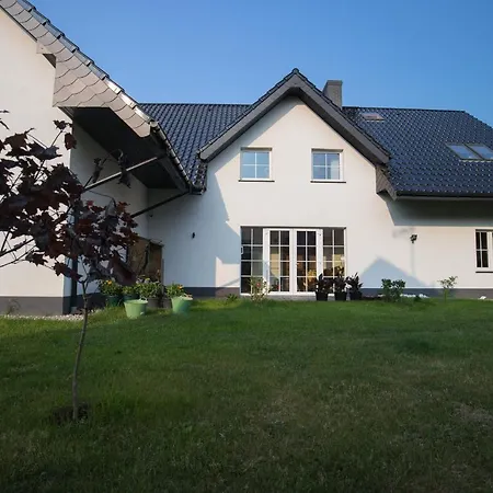 Spoko Slonia W Rewalu