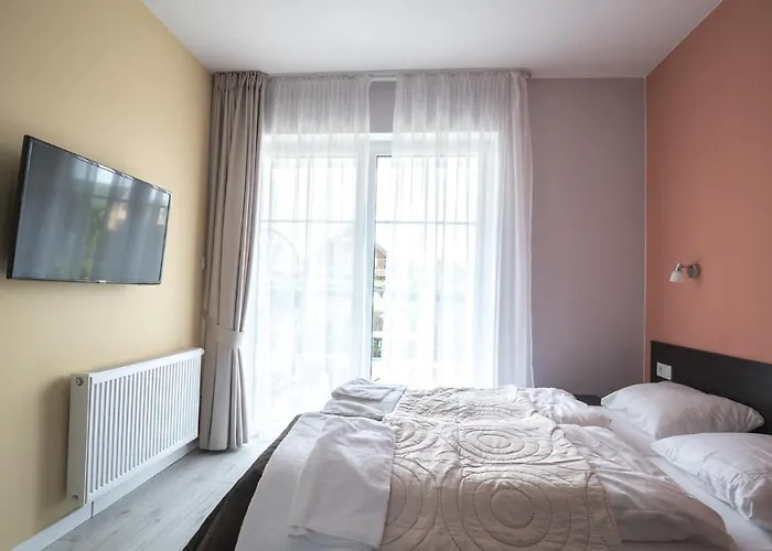 Spoko Slonia W Rewalu