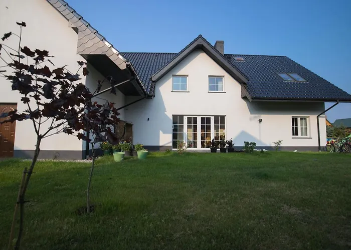 Spoko Slonia W Rewalu